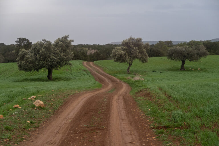 Cyprus E4 – deň 7